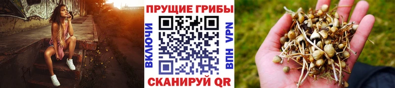 Галлюциногенные грибы ЛСД  купить   Сельцо 