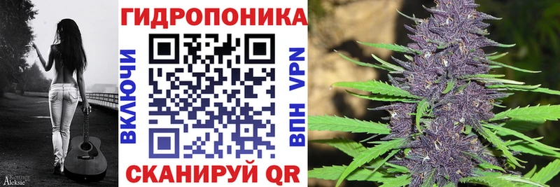 Шишки марихуана индика продажа наркотиков Сельцо